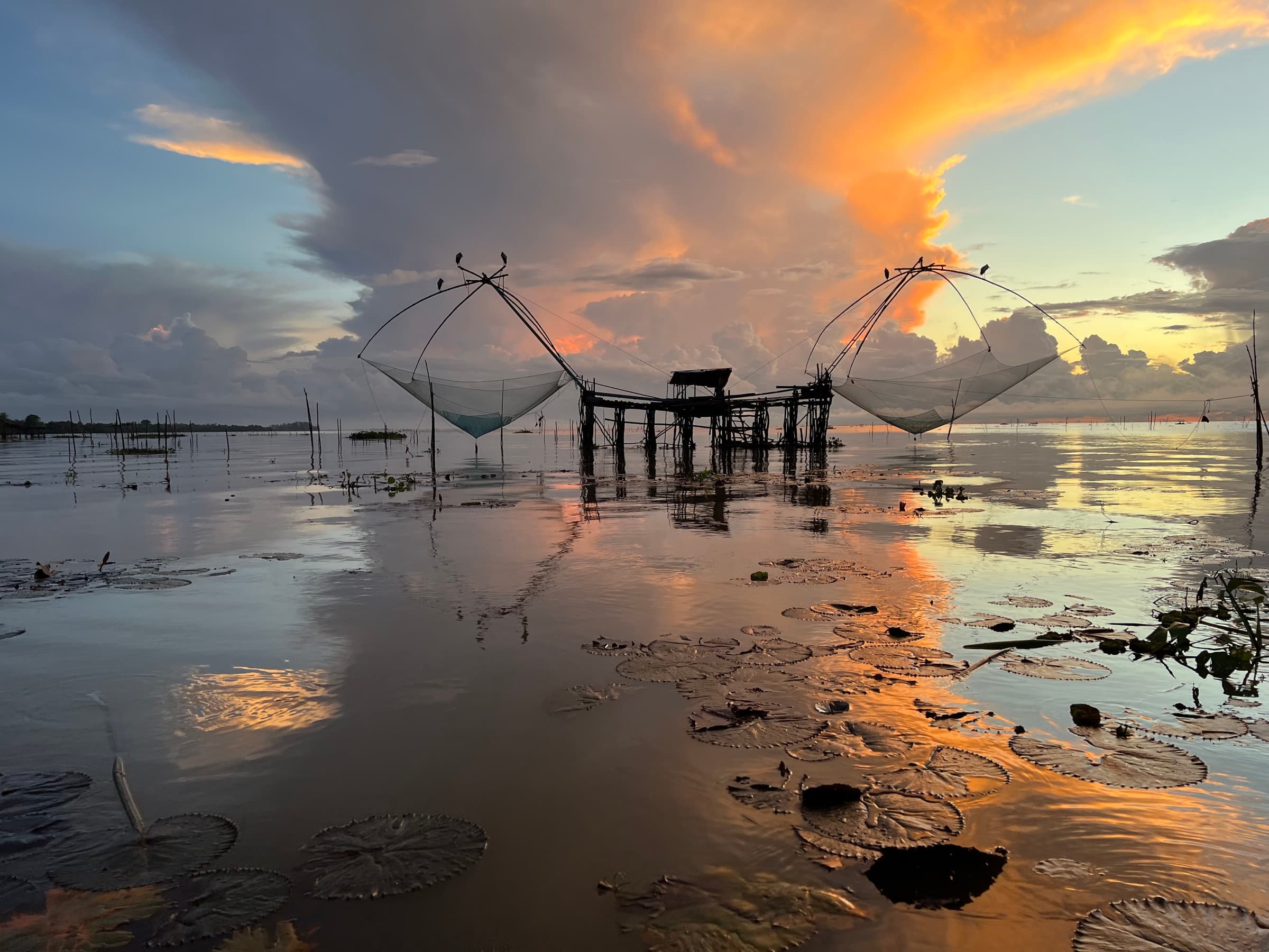Dawn over the Songkhla Lagoon, with traditional dip-nets silhouetted over the shallow water and lily pads